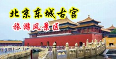 肏逼网中国北京-东城古宫旅游风景区